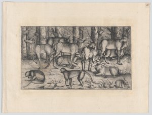 Cervi nella foresta, 1545 da Augustin Hirschvogel