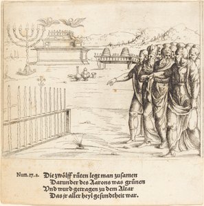 La fioritura della verga di Aronne