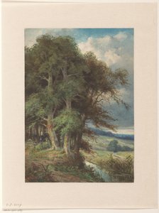 Alberi alti lungo un ruscello da Augustin Taurel