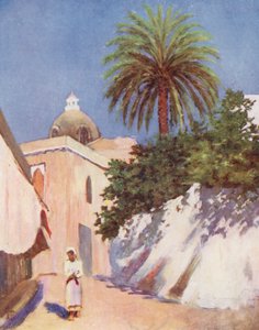 Strada, Capri da Augustine Fitzgerald