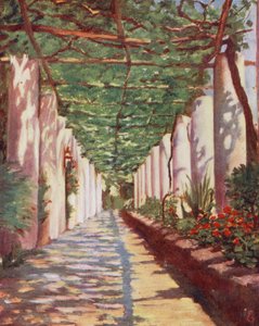 Terrazza dell