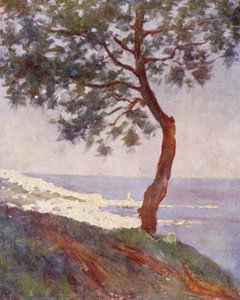Vista di Algeri da Mustapha Superieur (litografia a colori) da Augustine Fitzgerald