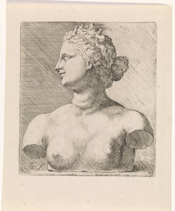 Busto di Venere de