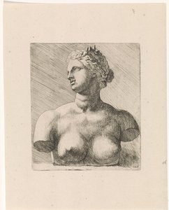Busto di Venere de