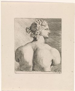Busto di Venere de