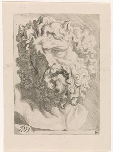 Testa di Laocoonte da Augustinus Terwesten (I)