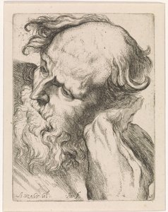 Testa di un vecchio (Giuseppe)