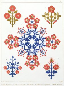 Motivo di violetta, iris e tulipano, design per carta da parati, stampato da M. und N. Hanhart