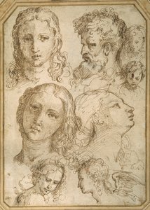 Studi di teste: una donna, un angelo, un giovane e un uomo barbuto da Aurelio (attr. to) Luini