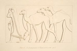 Una prigioniera e un cammello, illustrazione da Monuments of Nineveh, 1849 da Austen Henry Layard