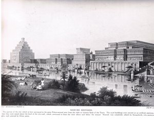 Ninive restaurata, illustrazione da 