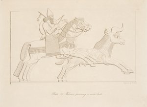 Guerriero che insegue un toro selvatico, da Monumenti di Ninive, pub. 1849