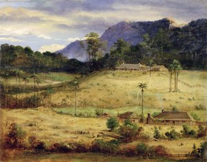Fattorie, c.1850 da Australasian School