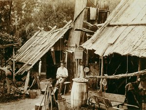 Prospectore australiano, c.1880s da Australian School