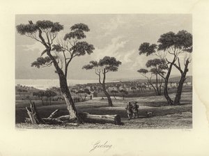 Geelong da Australian School