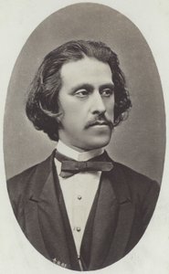 Ritratto di Josef Strauss
