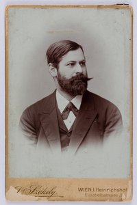 Sigmund Freud, Vienna da Austrian Photographer