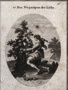 Allegoria della soddisfazione amorosa rappresentata da un grazioso adolescente inginocchiato davanti a un cuore al centro di un roseto fiorito le cui rose e spine alludono ai dolori e alle dolcezze dell