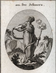 Allegoria del dolore. Un serpente mostruoso avvolge chi, dopo aver legato i suoi piedi, sale sul suo corpo e cerca di mordergli il cuore. Tiene una torcia che ancora fuma, il che significa che l