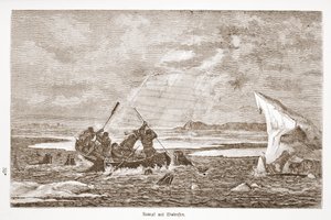 Lotta con il tricheco, 1876 da Austrian School
