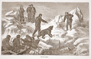 Caccia con i cani, 1876 da Austrian School
