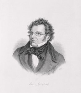 Ritratto di Franz Schubert da Austrian School