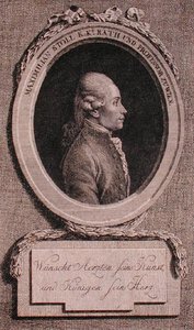 Ritratto di Maximilian Stoll da Austrian School