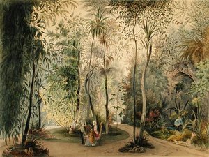 Il Giardino d