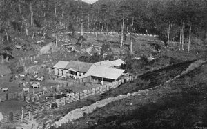 Fazenda de Criação Campos do Jordão, Fattoria Criação, 1895