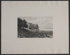 Danese: Ved Esrum sø