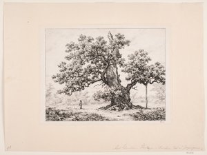 Quercia delle cicogne. Jægerspris