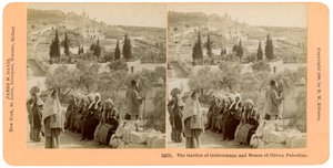 Il giardino del Getsemani e il Monte degli Ulivi, Palestina, 1898