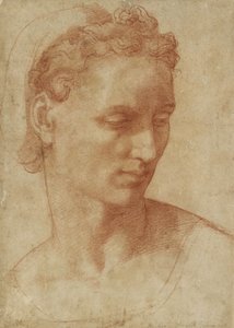 Testa di una donna