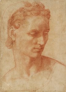 Testa di una donna, inizio XVI secolo da Baccio Bandinelli