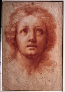 Studio della testa di una donna, lo sguardo fisso rivolto verso l