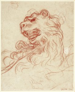 Studio della testa di un leone