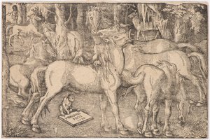 Gruppo di sette cavalli da Baldung