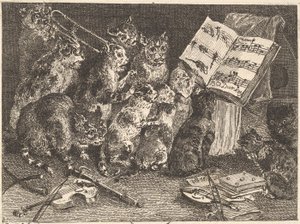 Concerto di gatti