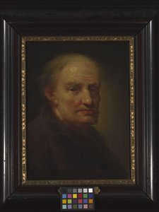 Testa di un vecchio da Balthasar Denner