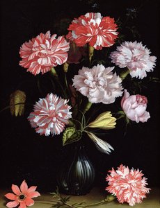 Studio floreale: Garofani in un vaso da Balthasar van der Ast