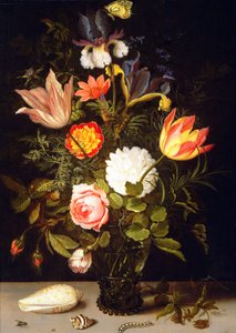Natura morta di fiori in un Roemer con due conchiglie