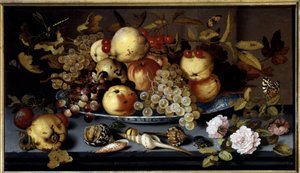 Natura morta di frutta, fiori, conchiglie e insetti da Balthasar van der Ast