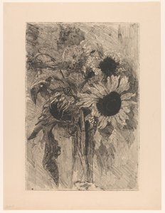 Girasoli in un vaso da Barbara Elisabeth van Houten (signed by artist)