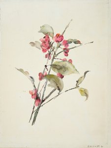Fiori rosa da Barbara Leigh Smith Bodichon