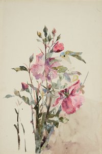 Steli di fiori rosa da Barbara Leigh Smith Bodichon