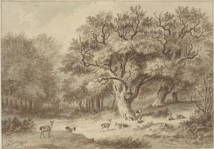 Paesaggio boschivo con cervi
