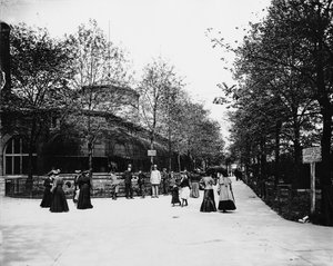Zoo di Lincoln Park, Chicago, Illinois, USA, c.1900 da Barnes and Crosby