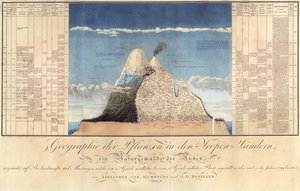 Geografia delle piante nei paesi tropicali, uno studio delle Ande, disegnato da Schoenberger e Turpin, stampato da Langlois, Parigi