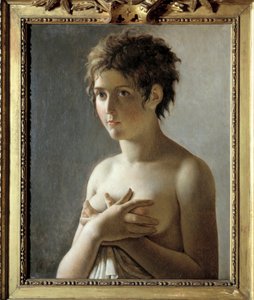 Ritratto di una ragazza in busto da Baron Pierre Narcisse Guerin