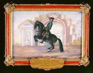 Agrable, un cavallo fulvo scuro della Scuola di Equitazione Spagnola che esegue un movimento di dressage chiamato Curvet da Baron Reis Eisenberg
